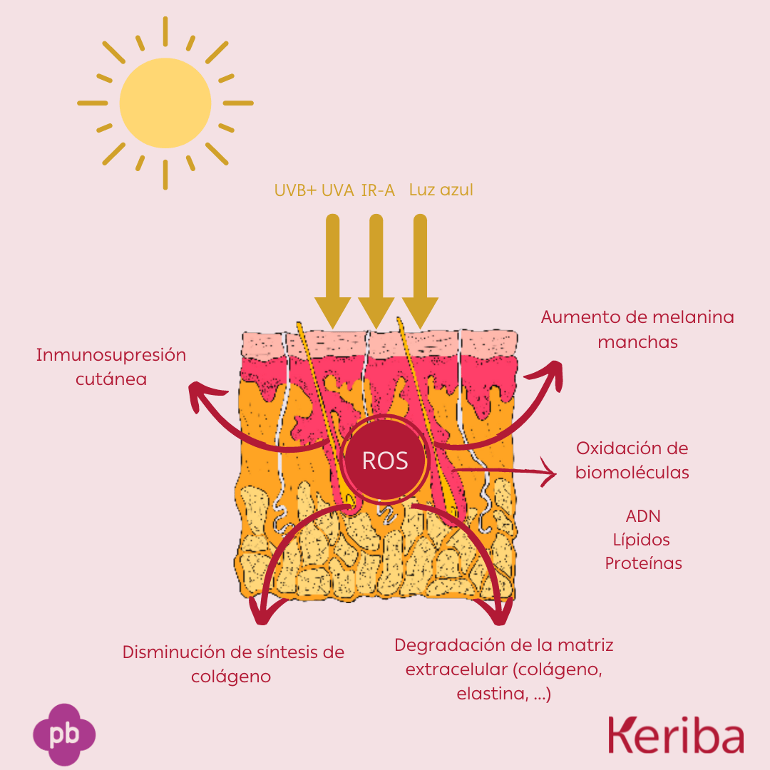 como-afecta-el-sol-a-tu-piel